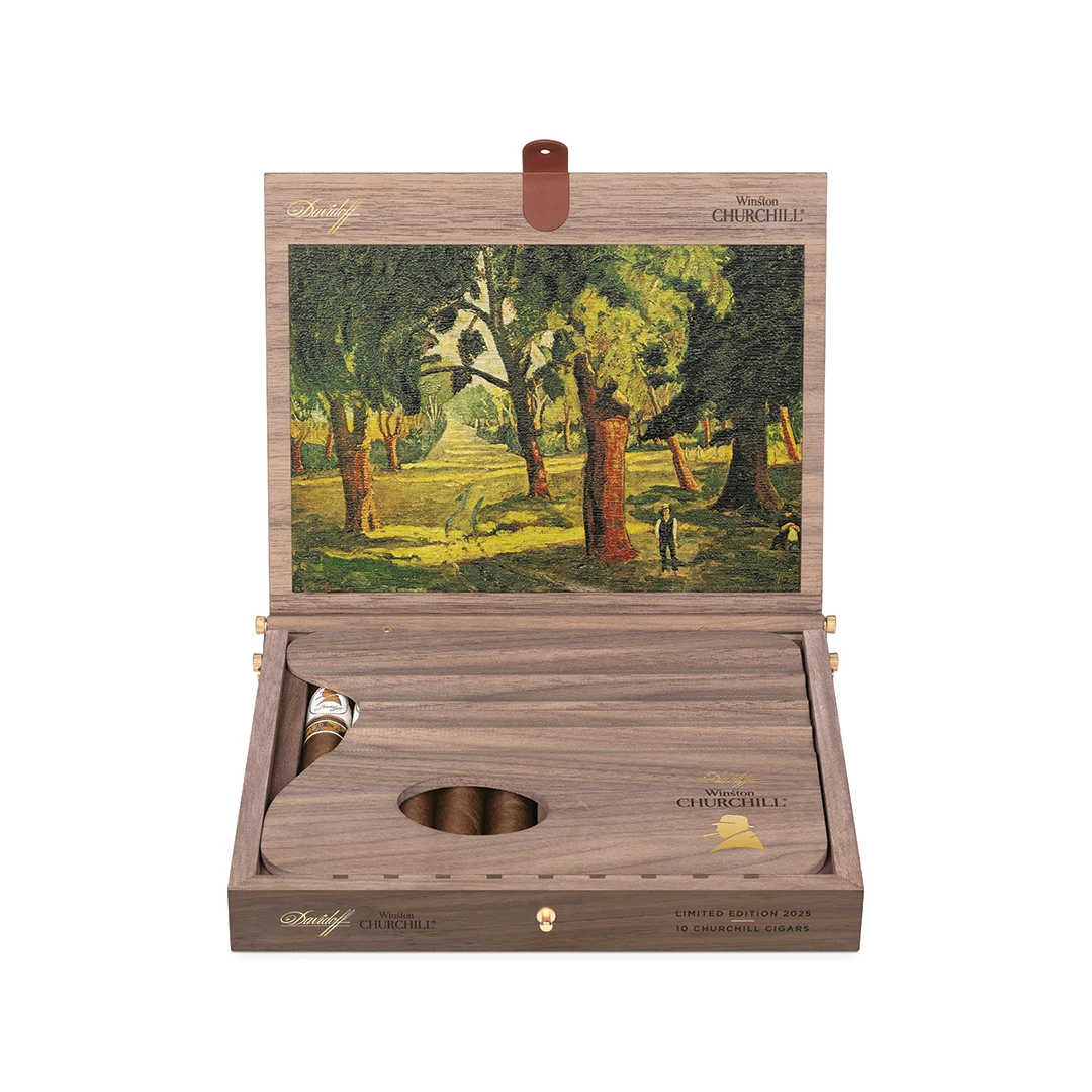 Winston Churchill Limited Edition 2025 - The Artist(Winston Churchill Limited Edition 2025) 5 Winston Churchill Limited Edition 2025 - The Artist(Winston Churchill Limited Edition 2025) - Image 3