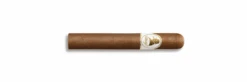 Winston Churchill Petit Corona Artist(Winston Churchill Petit Corona Artist)