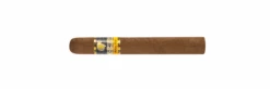 Cohiba Siglo II(Cohiba Siglo Ii)