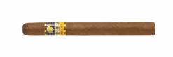 Cohiba Siglo V(Cohiba Siglo V)