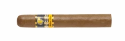Cohiba Siglo VI(Cohiba Siglo Vi)