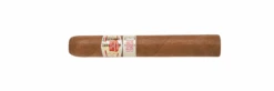 Hoyo De Monterrey Epicure Especial(Hoyo De Monterrey Epicure Especial)