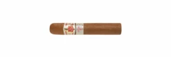 Hoyo De Monterrey Epicure No. 2(Hoyo De Monterrey Epicures No 2)