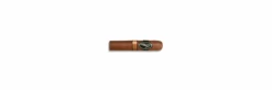 Nicaragua Short Corona(Davidoff Nicaragua Short Corona)