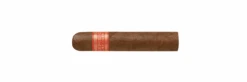 Partagas Serie D No. 5(Partagas Serie D No 5)