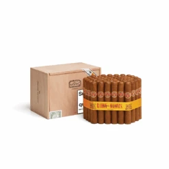 Ramón Allones Specially Selected(Ramon Allones Specially Selected) -Davidoff London Ramon Allones Specially Selected 50cabBox